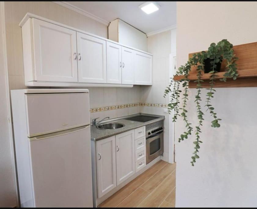 Brand New Apartment. 400 Meters Best Beach Torrevieja Ngoại thất bức ảnh