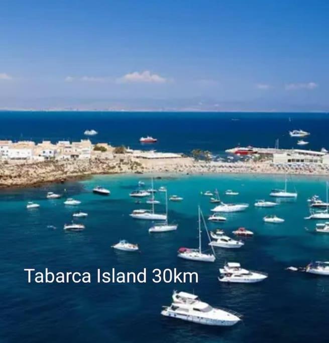 Brand New Apartment. 400 Meters Best Beach Torrevieja Ngoại thất bức ảnh